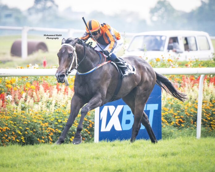 Bangalore Turf Club photo by Mohammed Habib