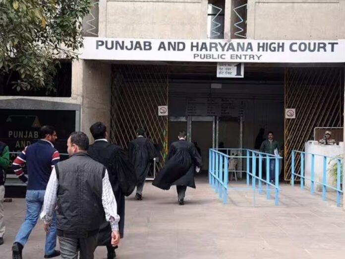 Punjab Haryana HC